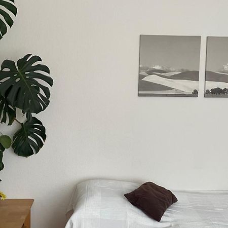 Fewo Oberhausen-Alstaden Oberhausen  Ngoại thất bức ảnh